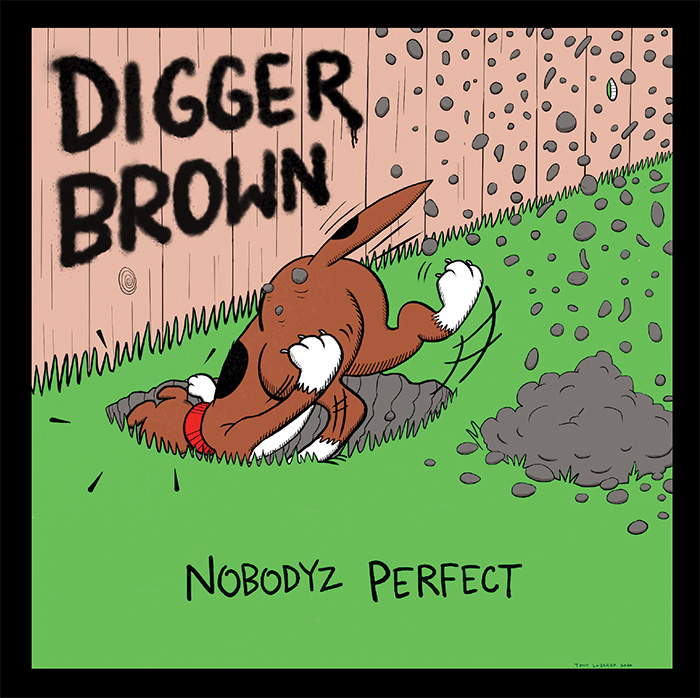 Nobodyz Perfect CD cover